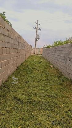 فروش باغ چهار دیواری در گروه خرید و فروش املاک در آذربایجان شرقی در شیپور-عکس1