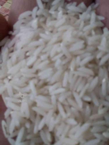فروش برنج هاشمی