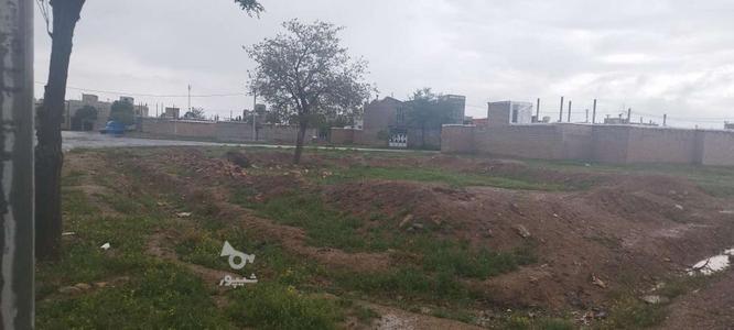فروش زمین مسکونی تفکیک شده در گروه خرید و فروش املاک در همدان در شیپور-عکس1