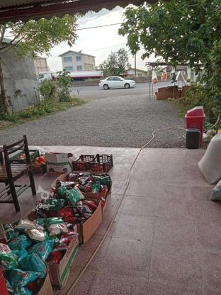 اجاره دو دهنه مغازه با امکانات در گروه خرید و فروش املاک در گیلان در شیپور-عکس1