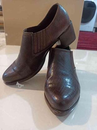 کفش زنانه 39 در گروه خرید و فروش لوازم شخصی در کردستان در شیپور-عکس1