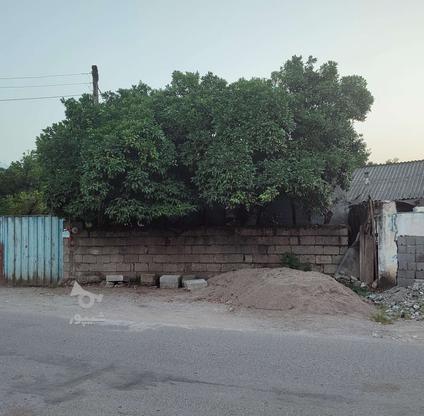 فروش زمین تجاری مسکونی سند دار در گروه خرید و فروش املاک در مازندران در شیپور-عکس1