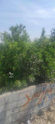 فروش زمین باغی قابل ساخت600متر در هریکنده بابل در گروه خرید و فروش املاک در مازندران در شیپور-عکس1