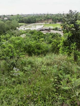 زمین 563متری واقع در رودباربندپی شرقی در گروه خرید و فروش املاک در مازندران در شیپور-عکس1