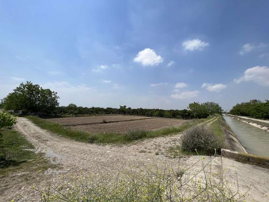 1800 متر زمین زراعی و باغی واقع در روستای همت آباد در گروه خرید و فروش املاک در مازندران در شیپور-عکس1