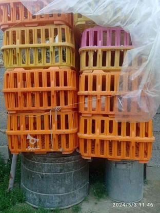 سبد جای حمل مرغ زنده  در گروه خرید و فروش صنعتی، اداری و تجاری در کردستان در شیپور-عکس1