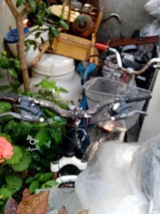 دوتا دوچرخه در گروه خرید و فروش ورزش فرهنگ فراغت در مازندران در شیپور-عکس1
