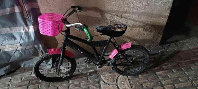 دوچرخه بچه در گروه خرید و فروش ورزش فرهنگ فراغت در چهارمحال و بختیاری در شیپور-عکس1