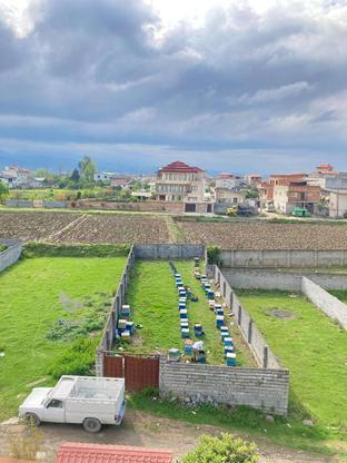 340 متر مربع زمین در روستای هلومسر در گروه خرید و فروش املاک در مازندران در شیپور-عکس1