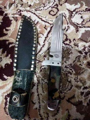 چاقو دسته پلنگی در گروه خرید و فروش لوازم خانگی در مازندران در شیپور-عکس1