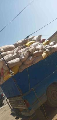 خاک اره خشک در گروه خرید و فروش صنعتی، اداری و تجاری در همدان در شیپور-عکس1