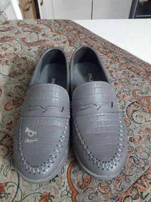 کفش سالم وتمیز در گروه خرید و فروش لوازم شخصی در خراسان رضوی در شیپور-عکس1