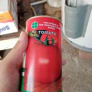 شتل گوجه فرنگی