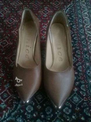 کفش یک بار استفاده شده در گروه خرید و فروش لوازم شخصی در زنجان در شیپور-عکس1