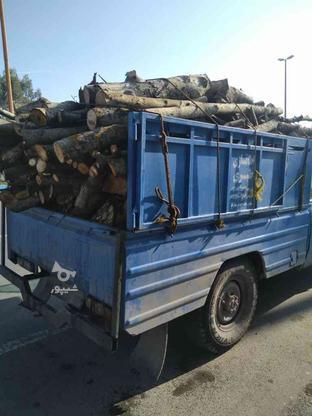 خریدار چوب باغی وهیزم زغالی در گروه خرید و فروش خدمات و کسب و کار در مازندران در شیپور-عکس1