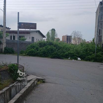 فروش زمین مسکونی 310 متر در عدالت  در گروه خرید و فروش املاک در مازندران در شیپور-عکس1