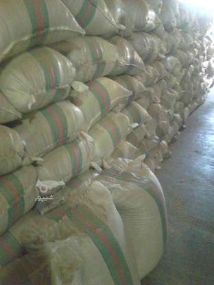 برنج فجر رو از کارخانه های ما از ما بخواهید در گروه خرید و فروش خدمات و کسب و کار در گلستان در شیپور-عکس1
