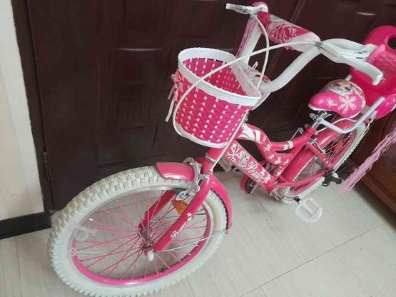دوچرخه در حد نو در گروه خرید و فروش ورزش فرهنگ فراغت در مازندران در شیپور-عکس1
