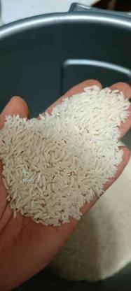 برنج درجه 1 و مرغوب آستانه اشرفیه در گروه خرید و فروش خدمات و کسب و کار در گیلان در شیپور-عکس1