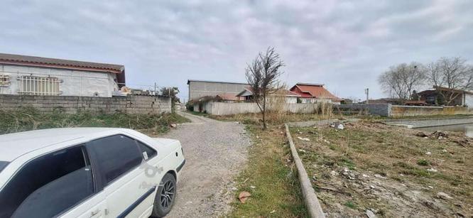 300 زمین مسکونی در گروه خرید و فروش املاک در مازندران در شیپور-عکس1