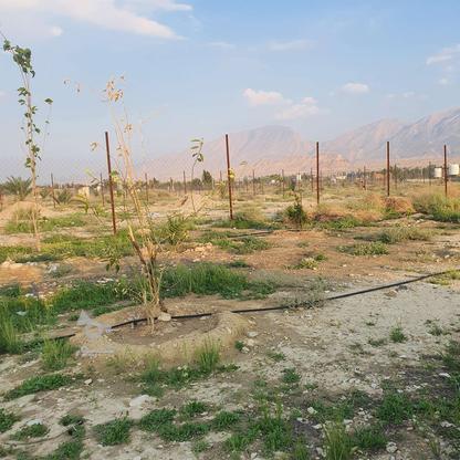 زمین باغشهری سنددار در گروه خرید و فروش املاک در فارس در شیپور-عکس1