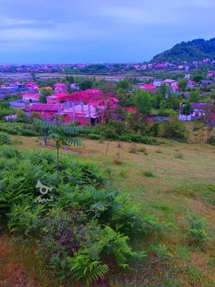 زمین ویلایی و مسکونی 10000 متری در گروه خرید و فروش املاک در گیلان در شیپور-عکس1
