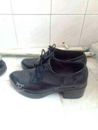 کتانی و کفش دخترونه سایز 38 در گروه خرید و فروش لوازم شخصی در قزوین در شیپور-عکس1