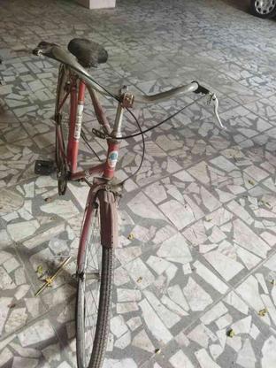 دوچرخه قدیمی بسیار سبک در گروه خرید و فروش ورزش فرهنگ فراغت در مازندران در شیپور-عکس1