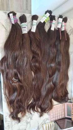 خریدار مو طبیعی بدون رنگ بالای 60 سانت در گروه خرید و فروش لوازم شخصی در مازندران در شیپور-عکس1