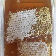 عسل طبیعی غرق اباد