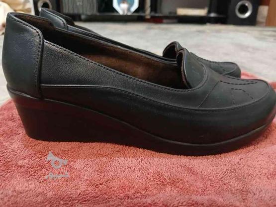 کفش چرم سایز 38 در گروه خرید و فروش لوازم شخصی در تهران در شیپور-عکس1
