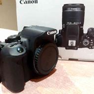 دوربین عکاسی 700 دی LENZ 50 FIX STM + CANON