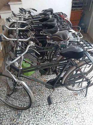 50 عدد دوچرخه یکجا بفروش میرسد در گروه خرید و فروش ورزش فرهنگ فراغت در مازندران در شیپور-عکس1