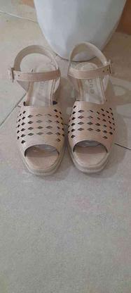 کفش تابستونه نونو سایز 38 39 در گروه خرید و فروش لوازم شخصی در مازندران در شیپور-عکس1