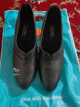 کفش پاشنه دار در گروه خرید و فروش لوازم شخصی در البرز در شیپور-عکس1