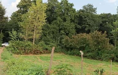 فروش زمین 245 متر در زرین آباد