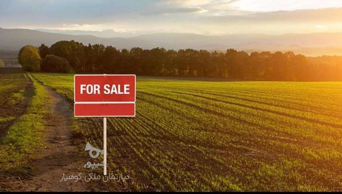 فروش زمین مسکونی 555 متر همافران در گروه خرید و فروش املاک در مازندران در شیپور-عکس1