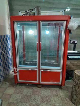 یخچال قصابی سرحال و عالی در گروه خرید و فروش صنعتی، اداری و تجاری در زنجان در شیپور-عکس1