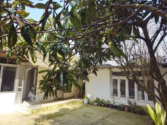 خانه کلنگی حیاط دار در گروه خرید و فروش املاک در گیلان در شیپور-عکس1
