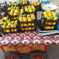 گاری میوه فروشی