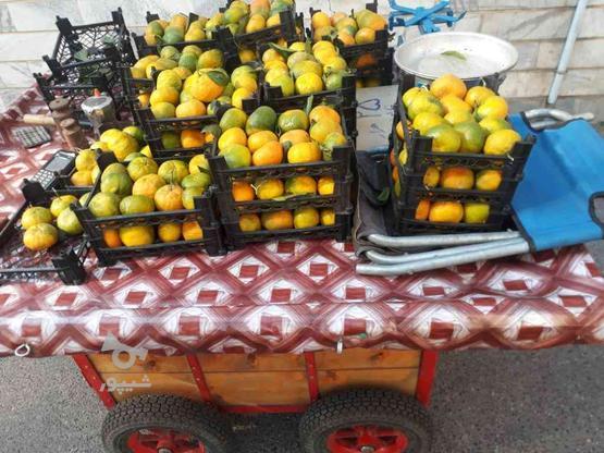 گاری میوه فروشی در گروه خرید و فروش وسایل نقلیه در گیلان در شیپور-عکس1
