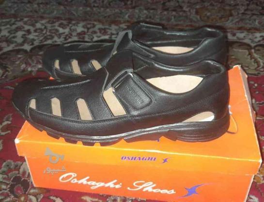 کفش مردانه تابستانه سایز 44 در گروه خرید و فروش لوازم شخصی در اصفهان در شیپور-عکس1