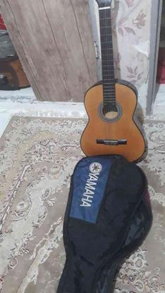 گیتار کلاسیک یاماها در گروه خرید و فروش ورزش فرهنگ فراغت در البرز در شیپور-عکس1