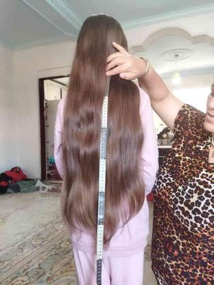 خرید موی طبیعی بالا پنجاه پنج و رنگ شده بدون اسیب در گروه خرید و فروش لوازم شخصی در مازندران در شیپور-عکس1