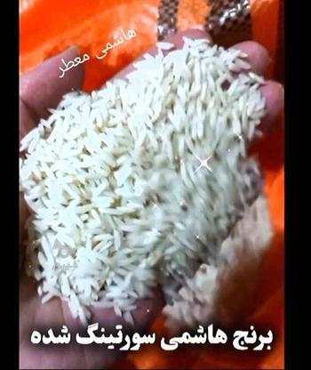 برنج اعلای هاشمی اصل در گروه خرید و فروش خدمات و کسب و کار در قزوین در شیپور-عکس1