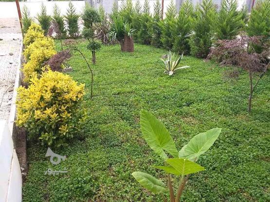 باغبانی و نگهداری فضای سبز در گروه خرید و فروش خدمات و کسب و کار در مازندران در شیپور-عکس1