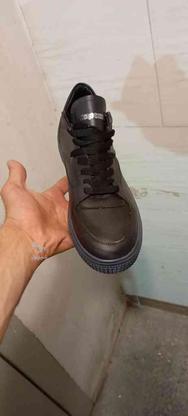 کفش مردانه پشت چرم68جفت یکجا فروخته میشود در گروه خرید و فروش لوازم شخصی در تهران در شیپور-عکس1