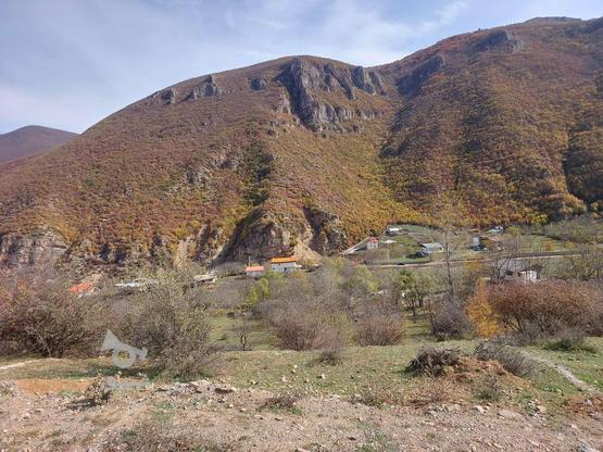 زمین در روستای تاریخی کندلوس قطعات308،473و505متری در گروه خرید و فروش املاک در مازندران در شیپور-عکس1