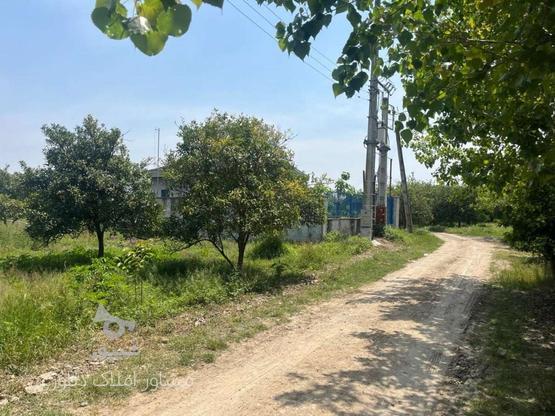 فروش زمین کشاورزی 216 متر در جاده نظامی در گروه خرید و فروش املاک در مازندران در شیپور-عکس1