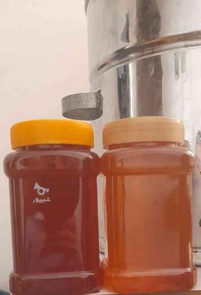 فروش عسل نمدار درجه یک با برگه آزمایش در گروه خرید و فروش خدمات و کسب و کار در گلستان در شیپور-عکس1